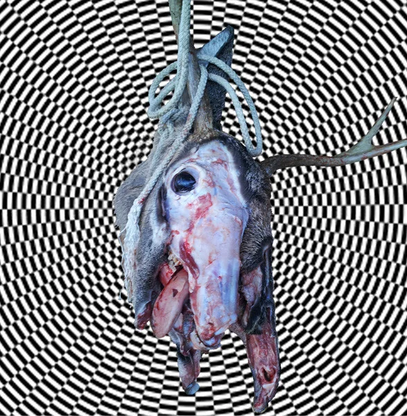 Feral King / Lonely Ghost Parade