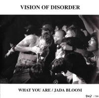 Vision Of Disorder / Minor League / Wrongside (2)