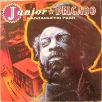 Raggamuffin Year