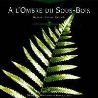 À L'Ombre Du Sous-Bois - Musique Claire-Obscure