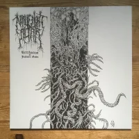 Retribution Of Jealous Gods
