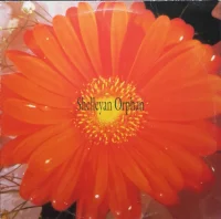 Century Flower