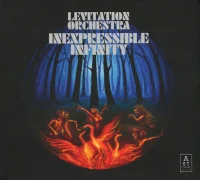 Inexpressible Infinity