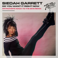 Do You Want It Right Now (Dr Packer's Back To The 90's Extended Mix)