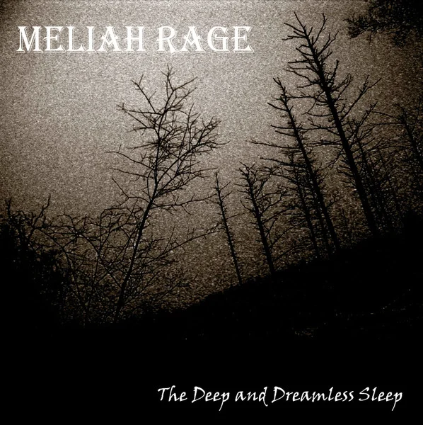 The Deep And Dreamless Sleep