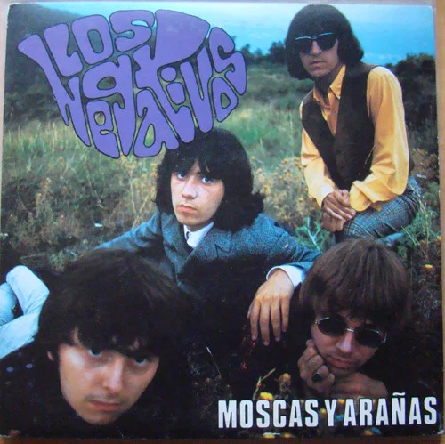 Moscas Y Arañas