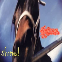 Shine! / Short Term Memory Loss