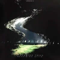 Before We Arise