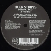 Missing You (Mr. V Remixes)