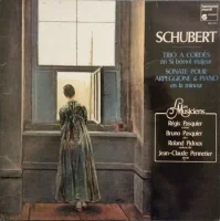 Trio À Cordes En Si Bémol Majeur / Sonate Pour Arpeggione & Piano En La Mineur
