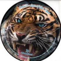 Eye Of The Tiger
