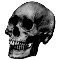 The Black Skull