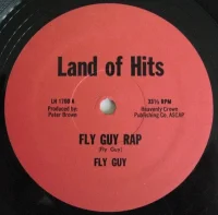 Fly Guy Rap