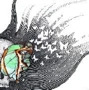 Butterfly Revolutions