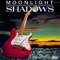 Moonlight Shadows