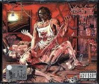 A Puzzle Of Flesh