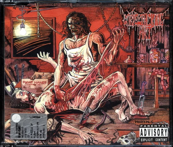 A Puzzle Of Flesh