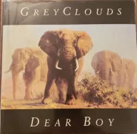 Grey Clouds