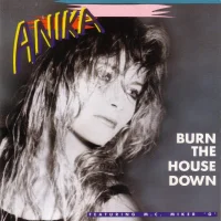 Burn The House Down