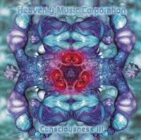 Consciousness III