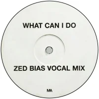 What Can I Do (Zed Bias Mixes)