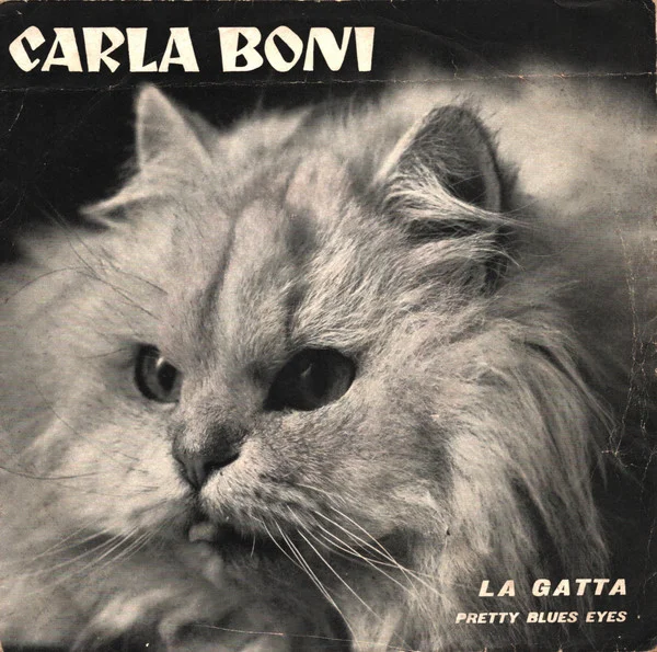 La Gatta