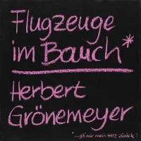 Flugzeuge Im Bauch