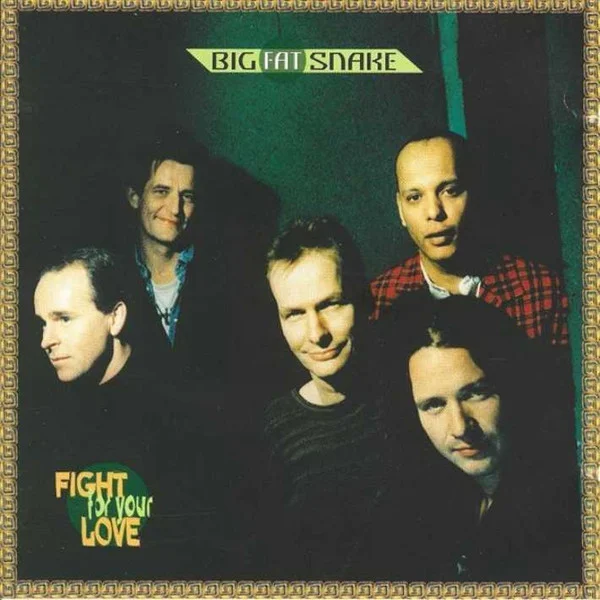 Fight For Your Love