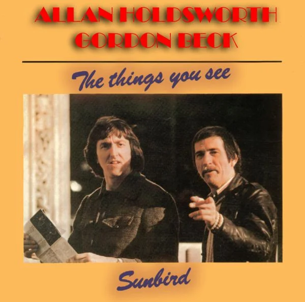 The Things You See / Sunbird
