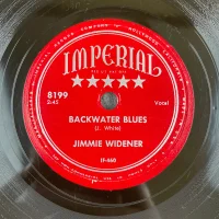 Backwater Blues / Padlock On The Door