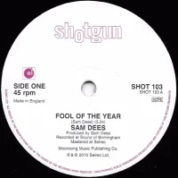 Fool Of The Year