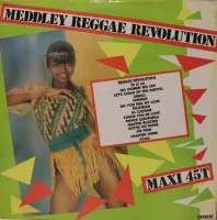 Meddley Reggae Revolution