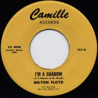 I'm A Shadow / Anyway I Can