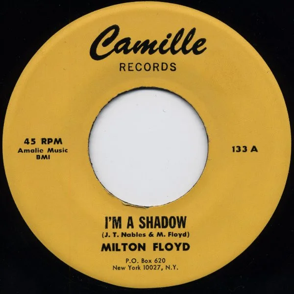 I'm A Shadow / Anyway I Can