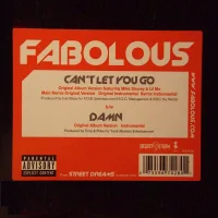 Can't Let You Go / Damn