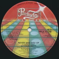 Never Give You Up / Send Your Love