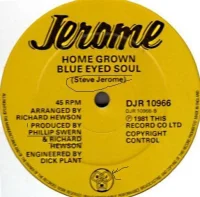 It's Mine And You Don't Own It / Home Grown Blue Eyed Soul