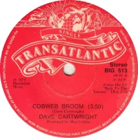 Cobweb Broom