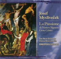La Passione Di Nostro Signore Gesu Cristo