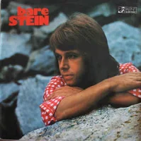 Bare Stein