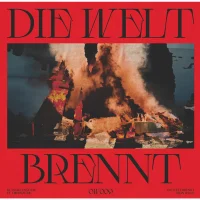 Die Welt Brennt
