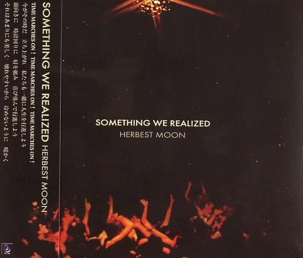 Something We Realized
