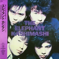 The Elephant Kashimashi