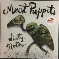 Dusty Notes