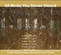 29 Birds You Never Heard
