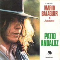 Patio Andaluz