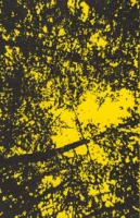 La Sonorité Jaune