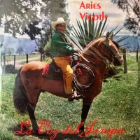 La Voz Del Joropo