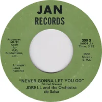 Never Gonna Let You Go