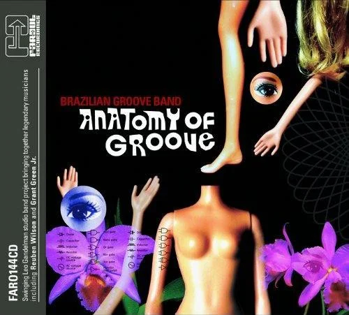Anatomy Of Groove